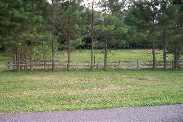 Lot 2 Southfork Road, Unit 2C Chilhowie, VA 24319 - Photo 1 of 4 Gallery Image 1
