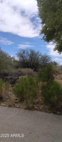 $5,000 | 0 West Doggie Drive, Unit 163, Safford, AZ 85546