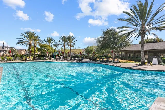 a view of a swimming pool with lawn chairs under an umbrella with palm trees