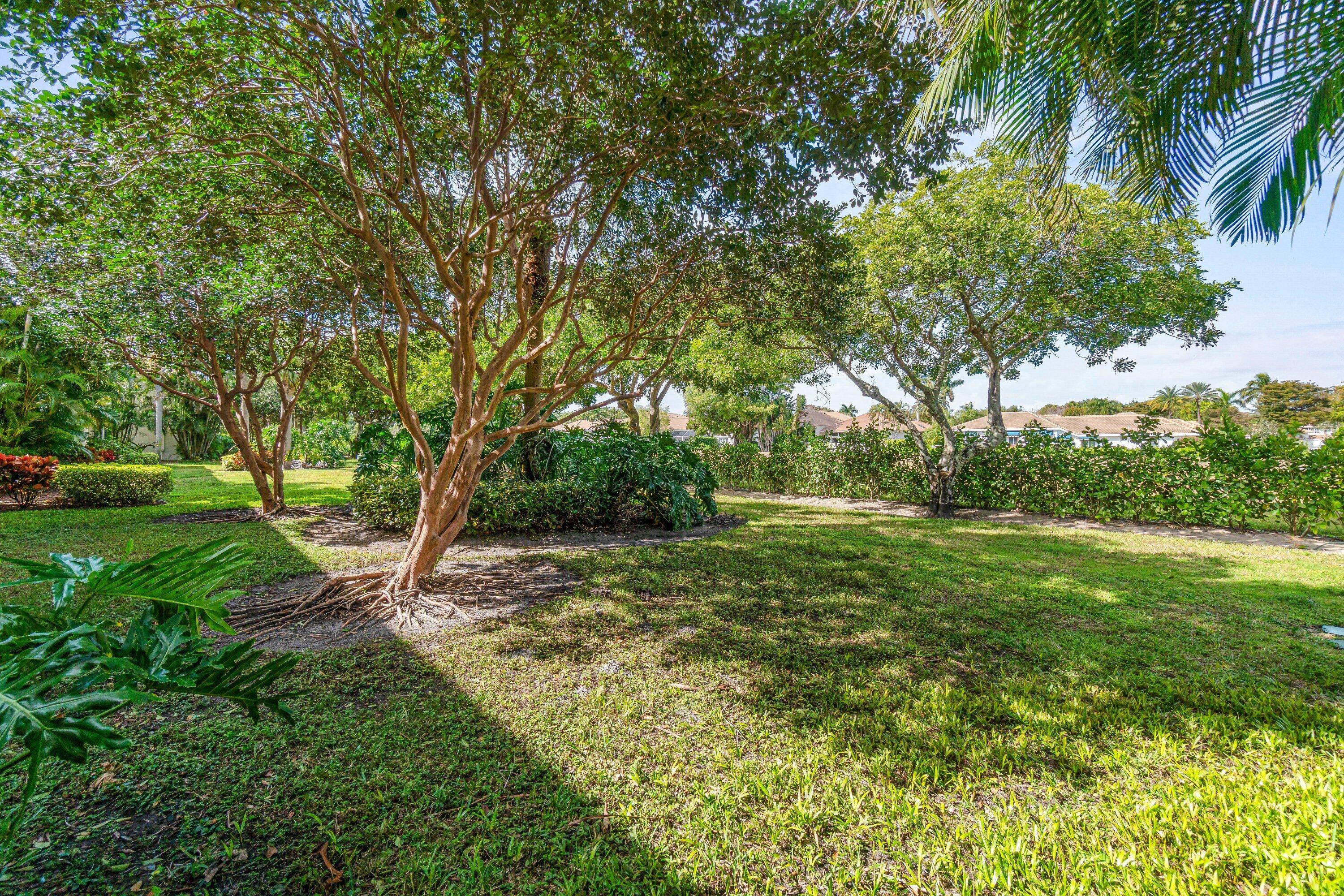 6229 Graycliff Drive, Unit D Boca Raton, FL 33496 - Photo 27 of 81 Garden view