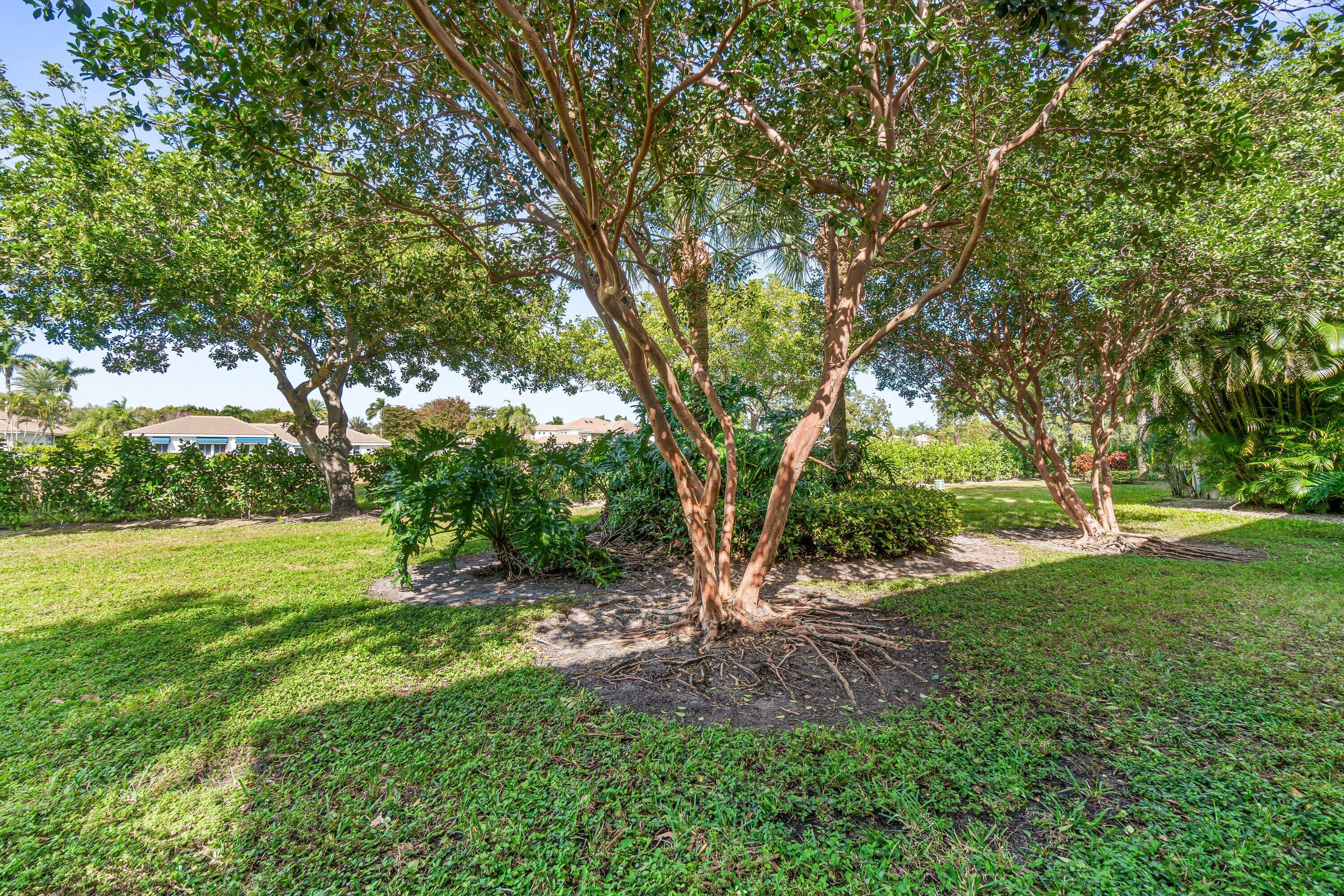 6229 Graycliff Drive, Unit D Boca Raton, FL 33496 - Photo 28 of 81 Garden view