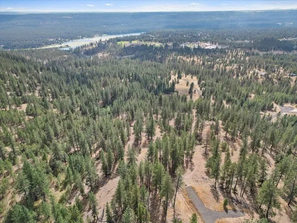 $89,000 | Nka Weaver Road, Unit LOT 4 OF LOT 7, Nine Mile Falls, WA 99026