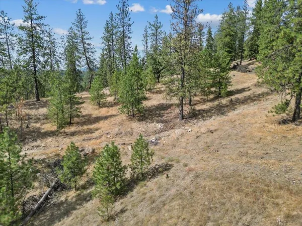 $89,000 | Nka Weaver Road, Unit LOT 4 OF LOT 7, Nine Mile Falls, WA 99026