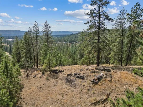 $89,000 | Nka Weaver Road, Unit LOT 4 OF LOT 7, Nine Mile Falls, WA 99026
