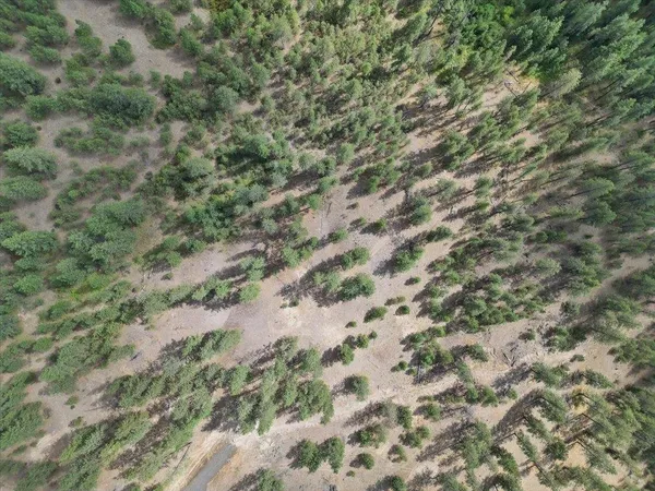$89,000 | Nka Weaver Road, Unit LOT 4 OF LOT 7, Nine Mile Falls, WA 99026