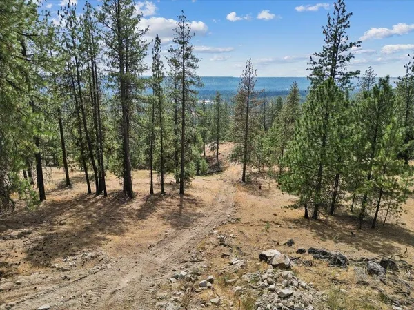 $89,000 | Nka Weaver Road, Unit LOT 4 OF LOT 7, Nine Mile Falls, WA 99026