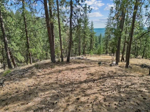 $89,000 | Nka Weaver Road, Unit LOT 4 OF LOT 7, Nine Mile Falls, WA 99026