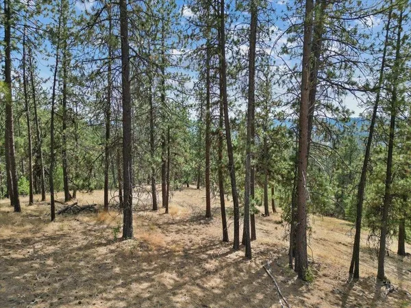 $89,000 | Nka Weaver Road, Unit LOT 4 OF LOT 7, Nine Mile Falls, WA 99026