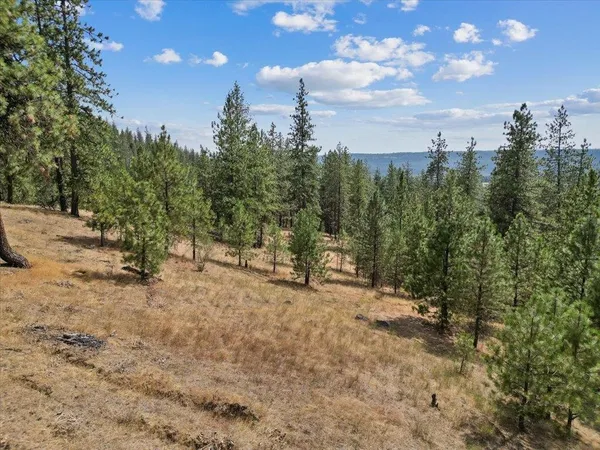 $89,000 | Nka Weaver Road, Unit LOT 4 OF LOT 7, Nine Mile Falls, WA 99026