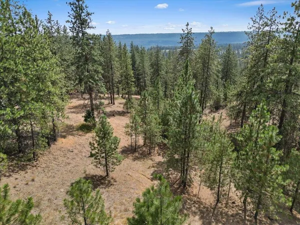 $89,000 | Nka Weaver Road, Unit LOT 4 OF LOT 7, Nine Mile Falls, WA 99026