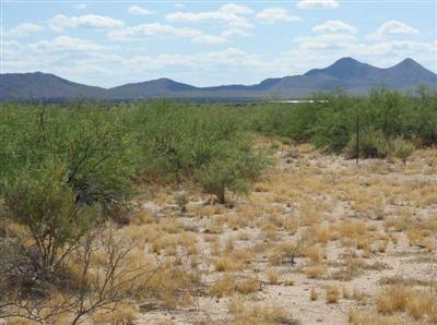 0 North Aguirre Road Marana, AZ 85653 - Photo 3 of 6