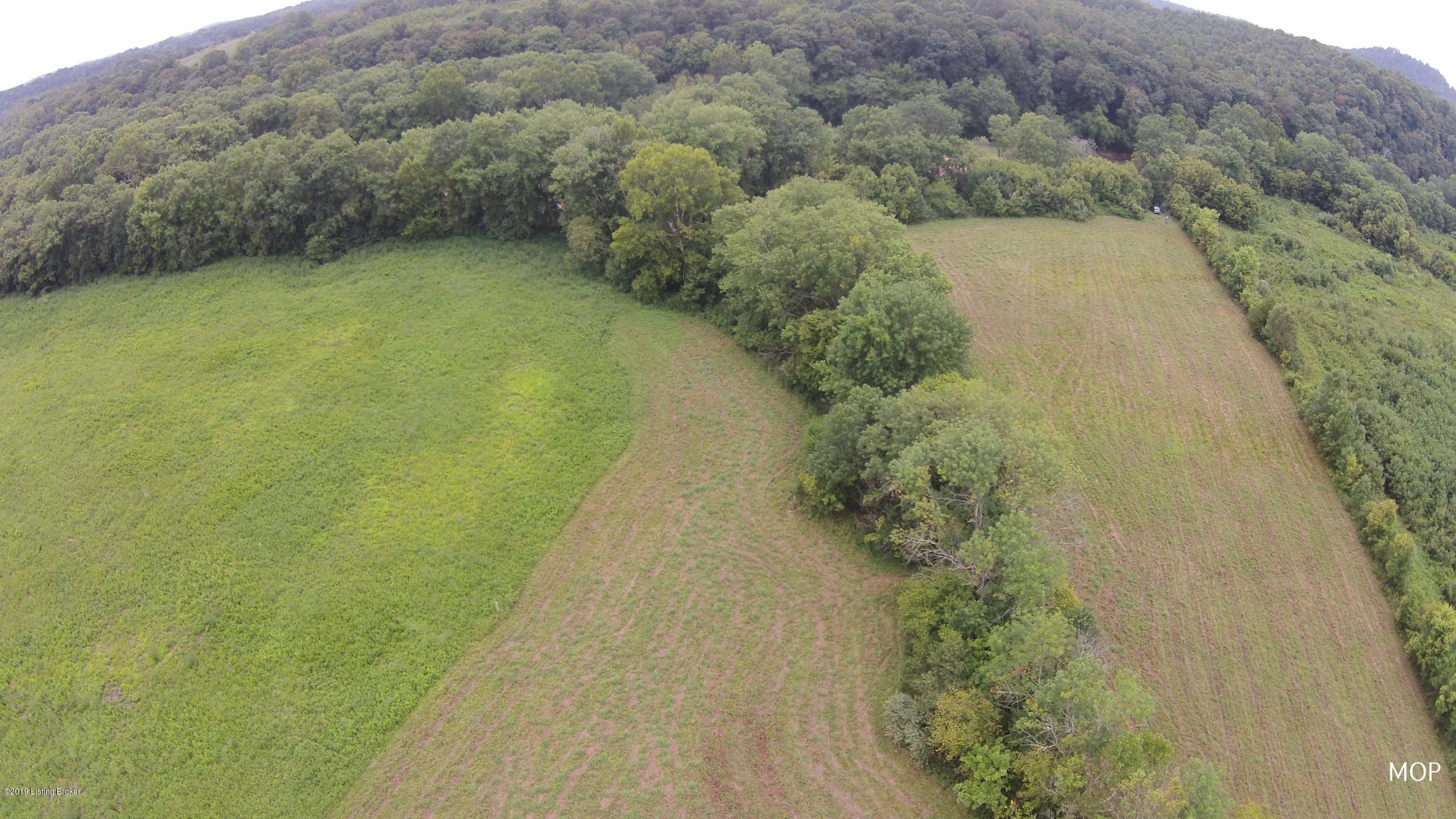1000 Figett Bend Road Canmer, KY 42722 - Photo 43 of 61 DJI09356