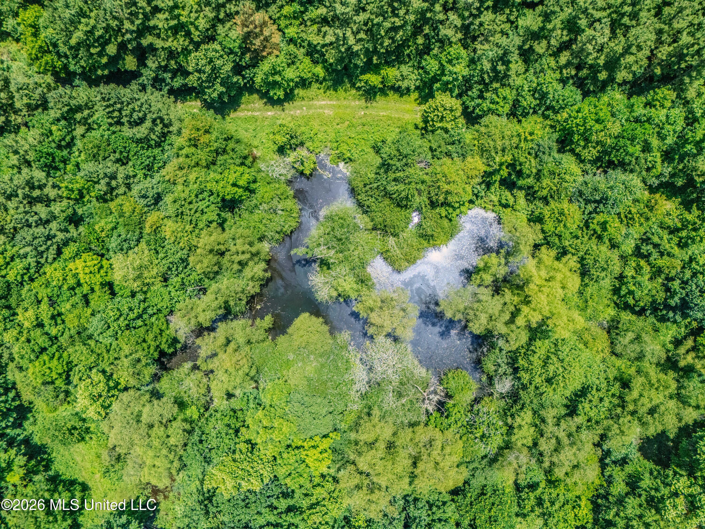 23 Co Road Bay Springs, MS 39422 - Photo 52 of 64 DJI_20260611123746_0023_D