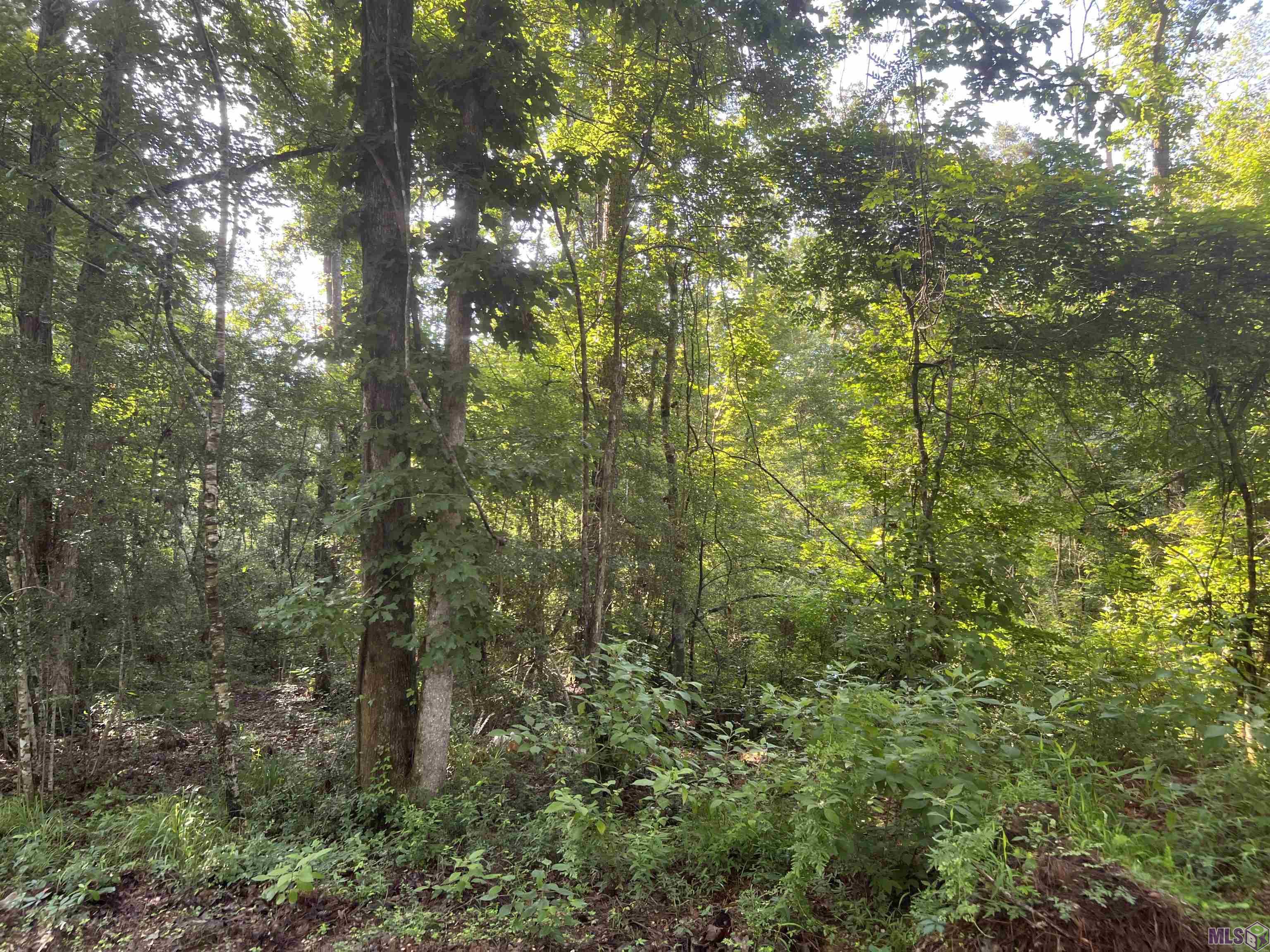 Lot 4 Hepzibah Road Clinton, LA 70722 - Photo 1 of 6