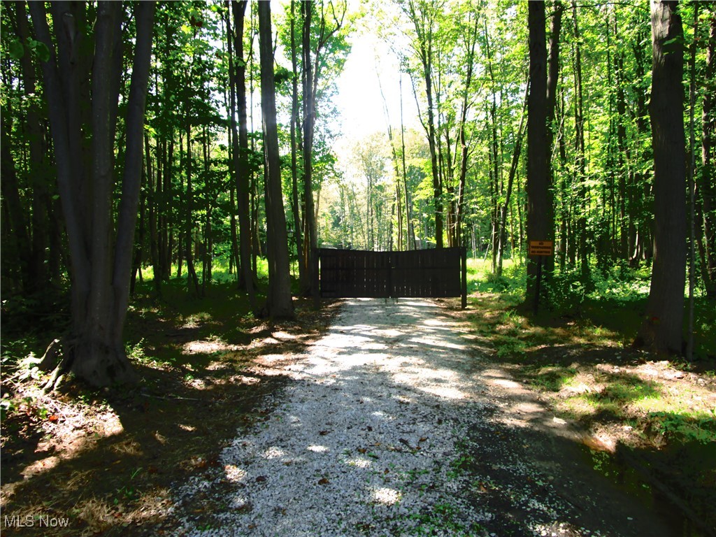 7454 Sidley Road Thompson, OH 44086 - Photo 40 of 42 Gate