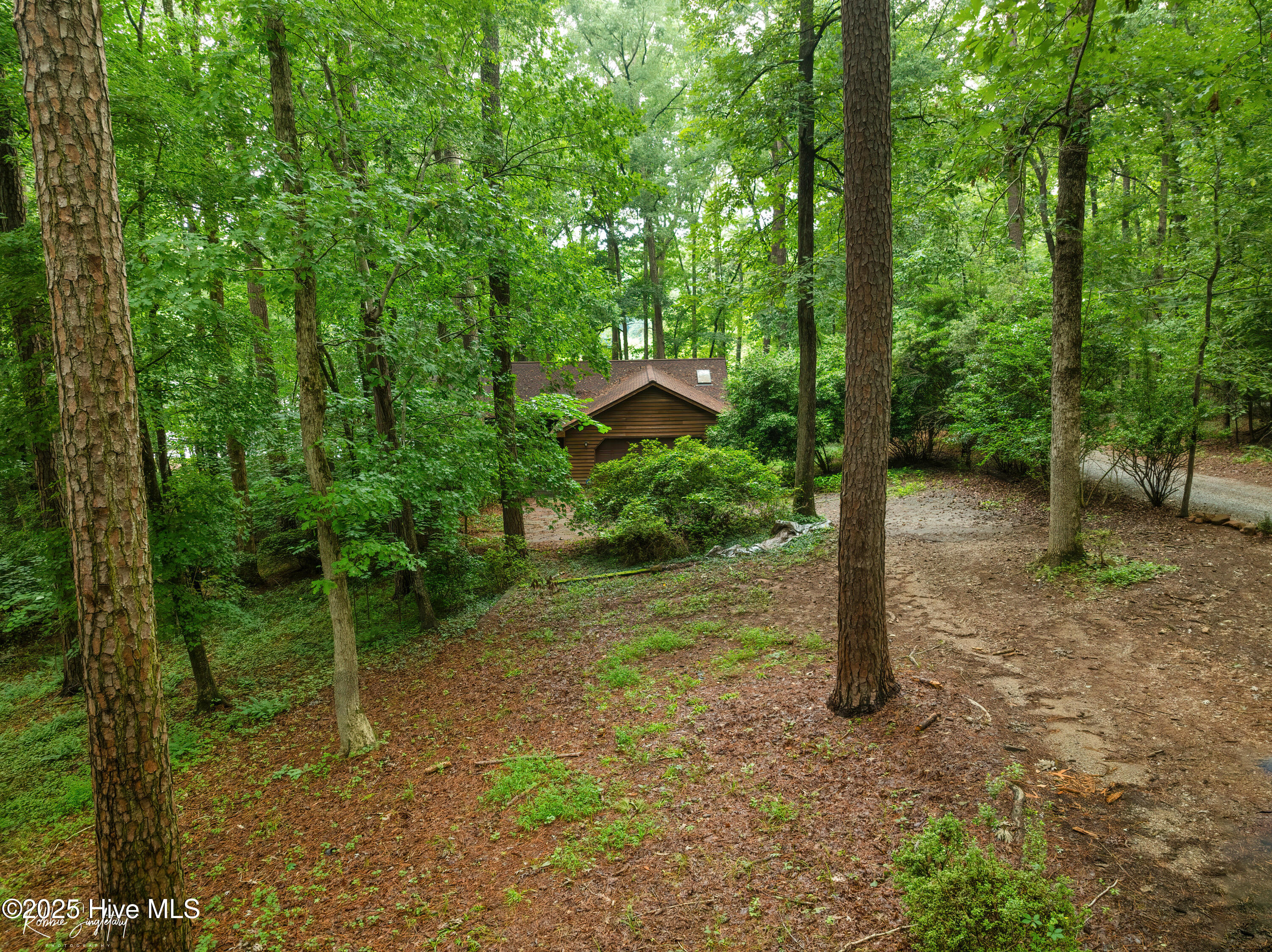 299 Rankin Lake Road Ellerbe, NC 28338 - Photo 60 of 61 RS 1 DJI_0559