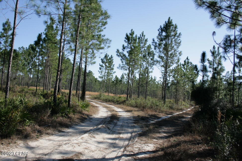 19732 Timbercrest Road Fountain, FL 32438 - Photo 28 of 40