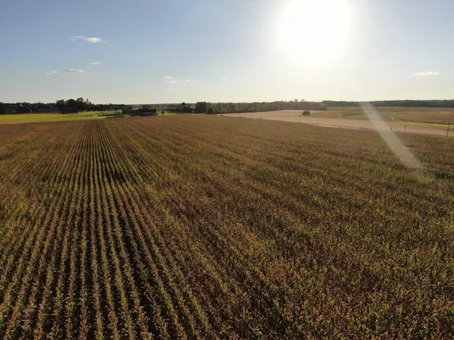 $315,000 | 5451 Town Hall Road Northeast, Sauk Rapids, MN 56379