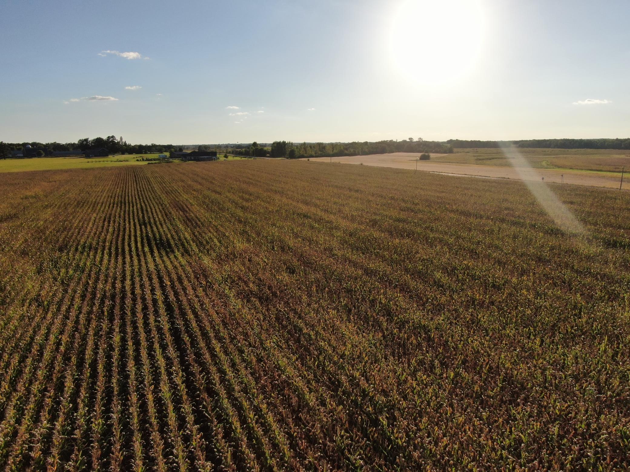 5451 Town Hall Road Northeast Sauk Rapids, MN 56379 - Photo 2 of 5