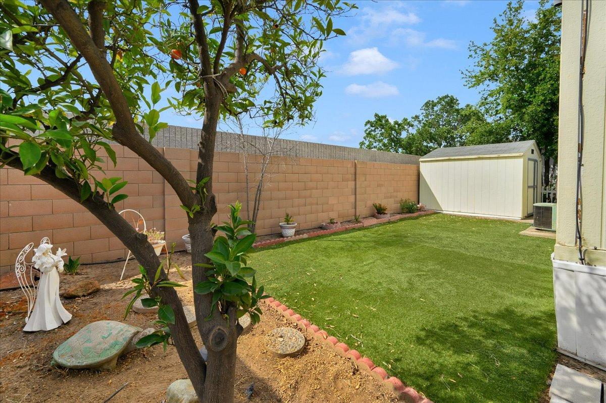 1001 Sylmar Avenue, Unit 199 Clovis, CA 93612 - Photo 26 of 50 a backyard of a house with lots of green space
