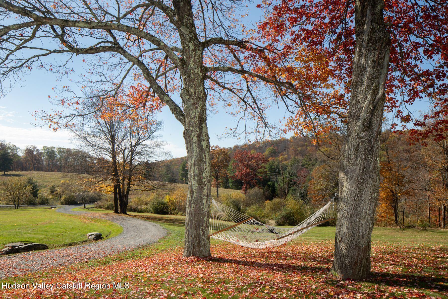 2073 Highway 82 Ancram, NY 12502 - Photo 7 of 22 a view of a backyard of the house