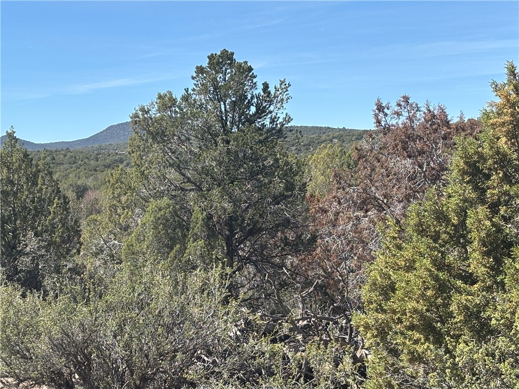 352-38-012 352-38-012 Badger Ridge Road Kingman, AZ 86401 - Photo 28 of 31