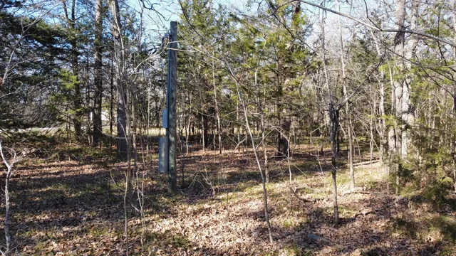 $65,000 | 304 Sandy Lynn, Quinlan, TX 75474