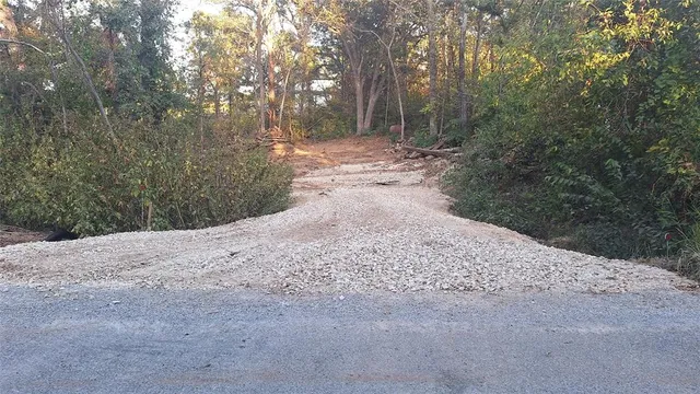 a view of a road with trees in the background