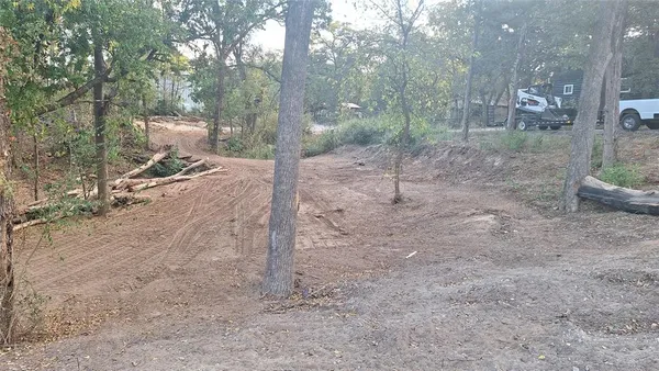 a view of a forest filled with trees