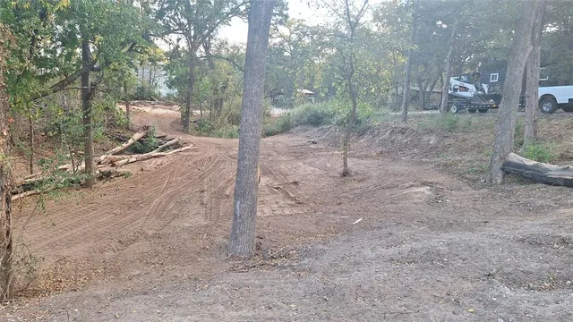 a view of a forest filled with trees