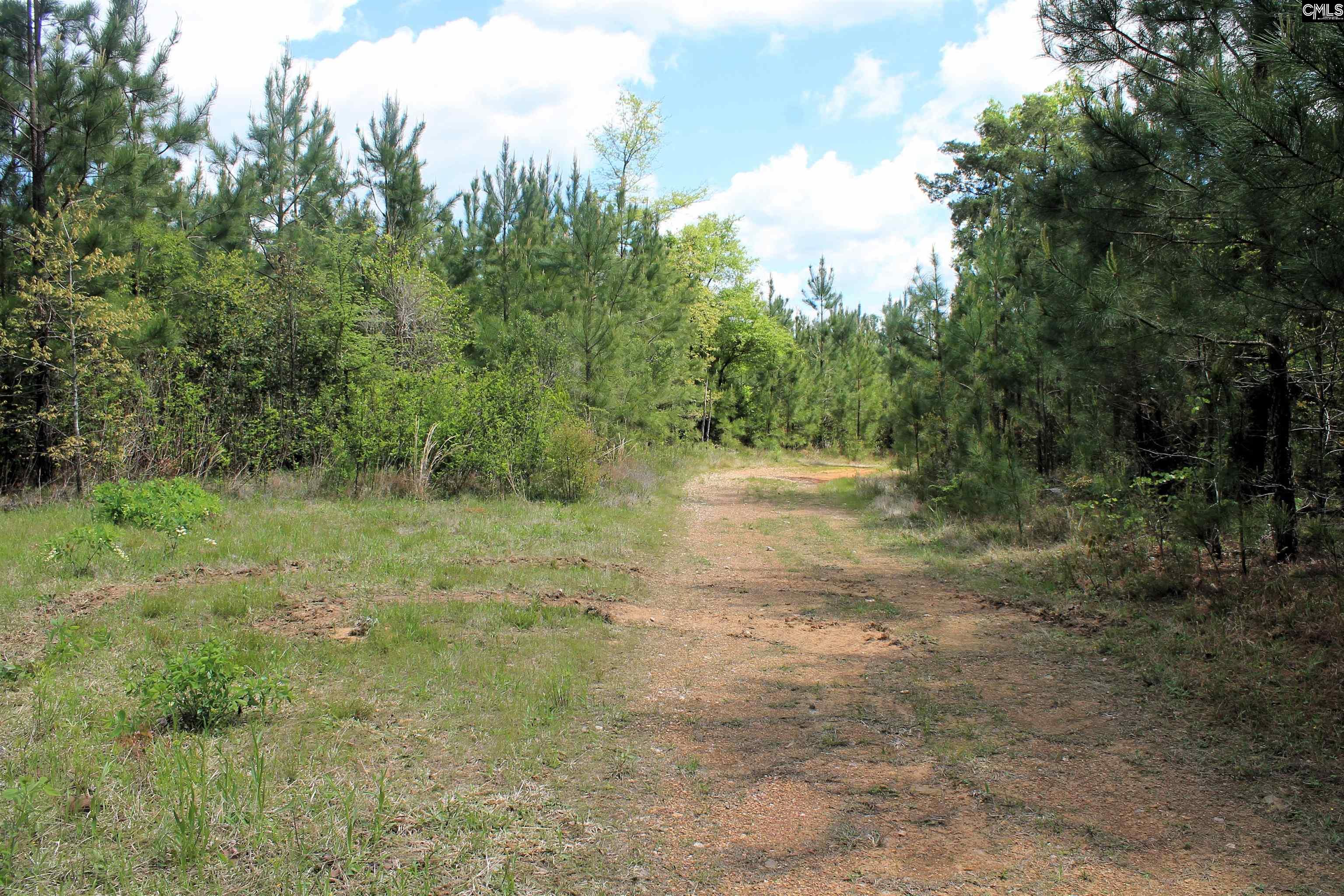 Tbd Crooked Creek Road Chapin, SC 29036 - Photo 2 of 20