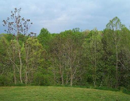 102 Piney Branch Road Blue Ridge, VA 24064 - Photo 5 of 5 a backyard of a house with lots of green space