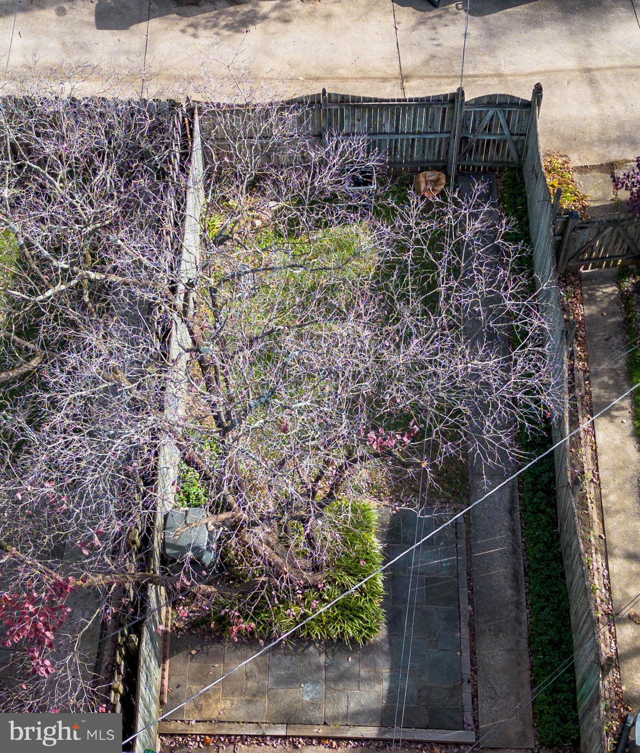 127 Stanmore Road Baltimore, MD 21212 - Photo 35 of 37 Arial View of Spacious Backyard