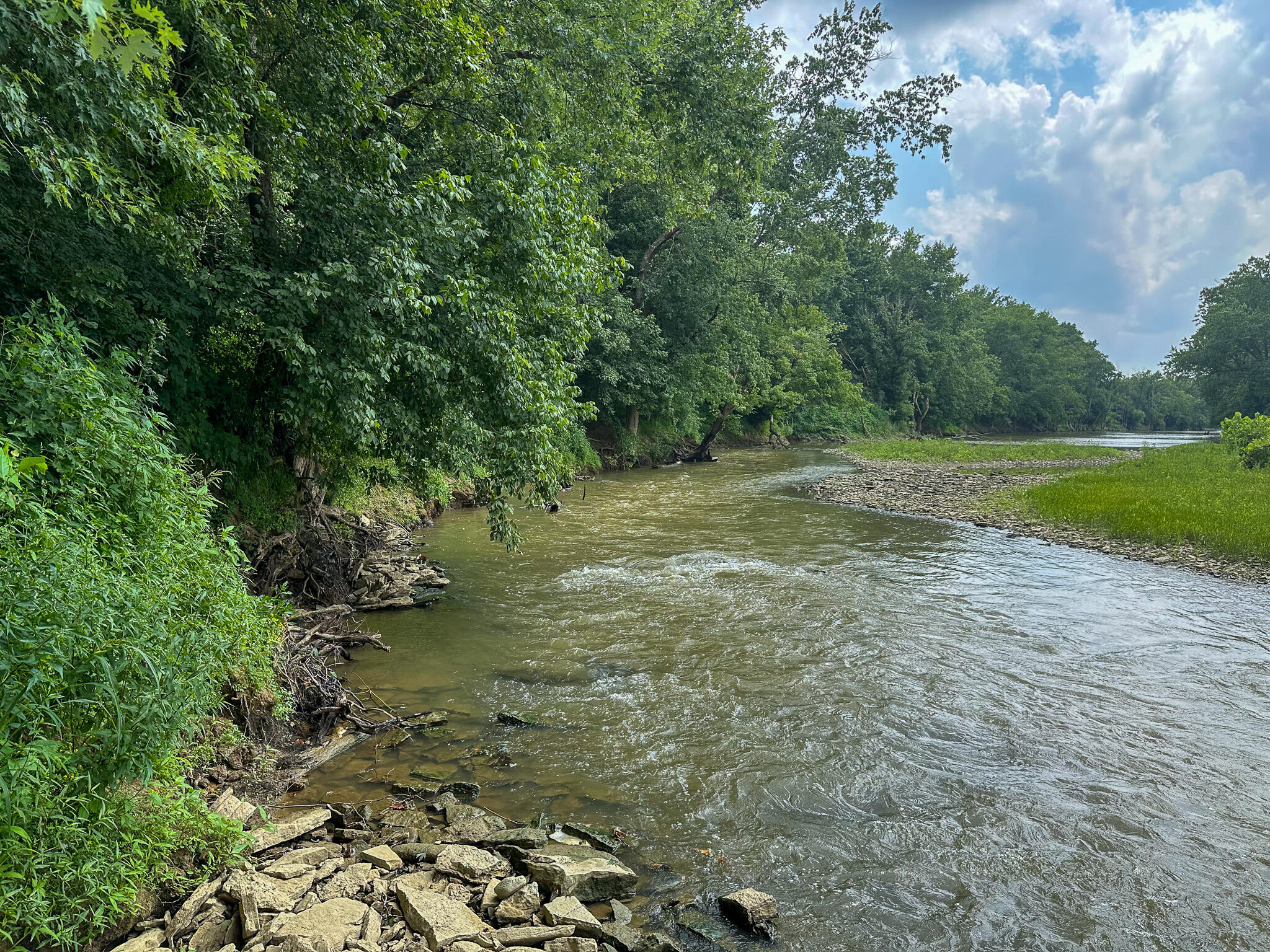 0 Abners Mill Road Ewing, KY 41039 - Photo 6 of 122 5