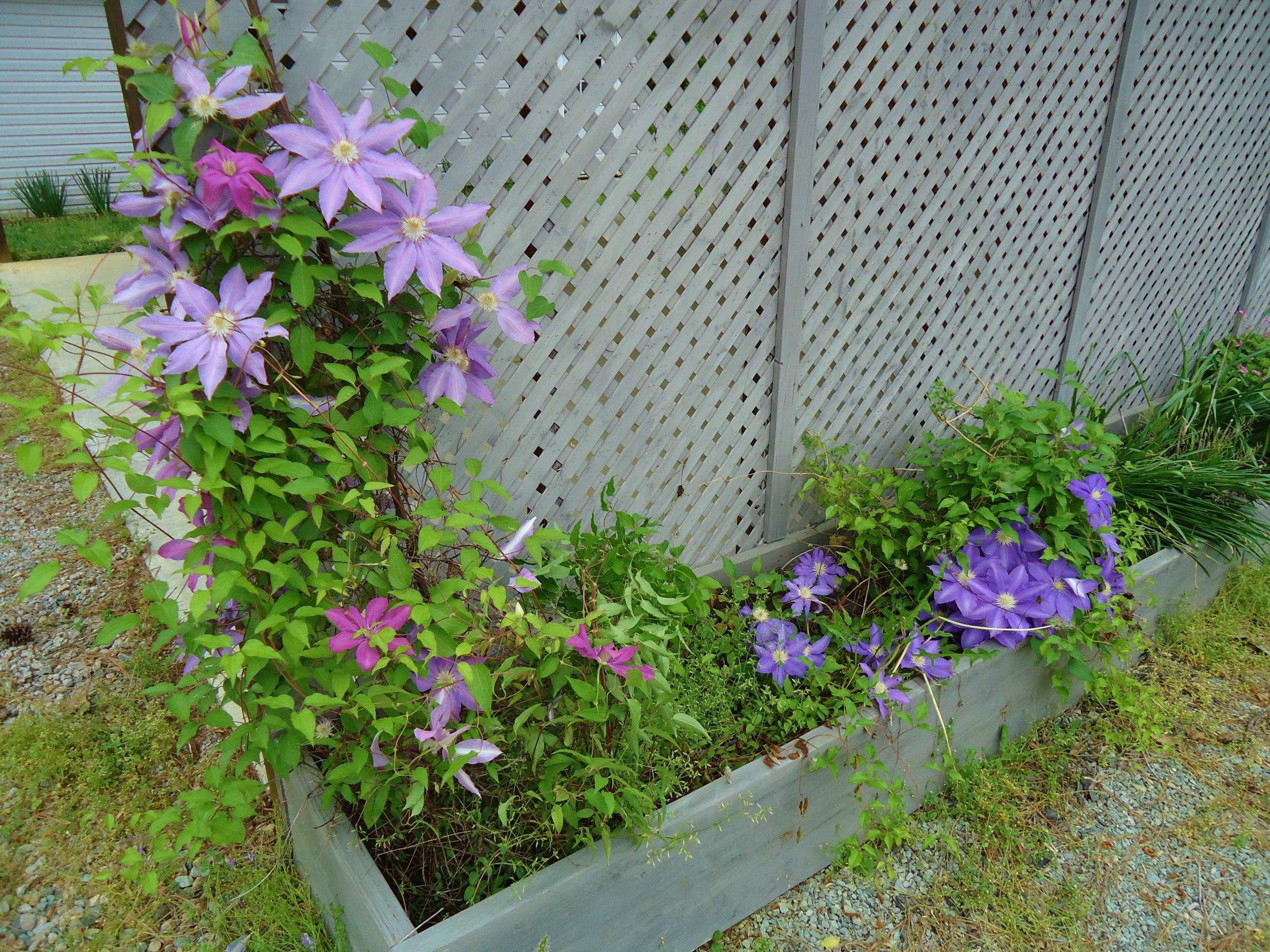 9551 George Ruff Road Bullock, NC 27507 - Photo 44 of 49 Photo 44