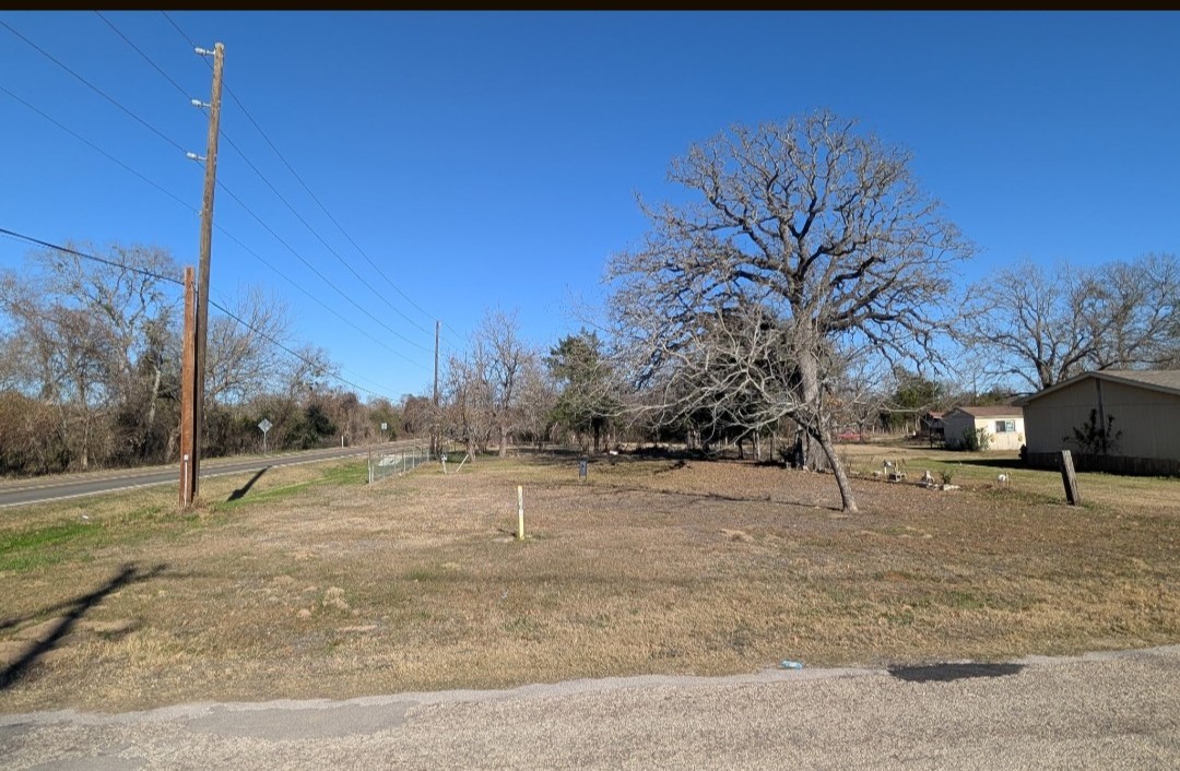 a backyard of apartments with large trees