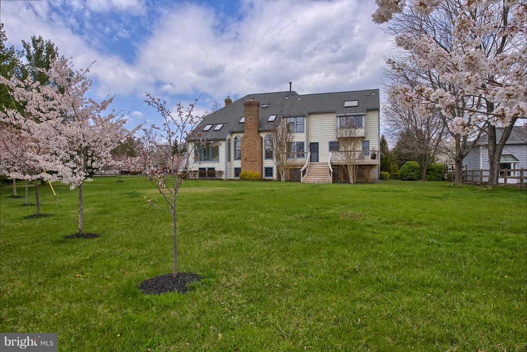 17001 Spates Hill Road Poolesville, MD 20837 - Photo 29 of 30 This backyard needs your dog and Frisbee!