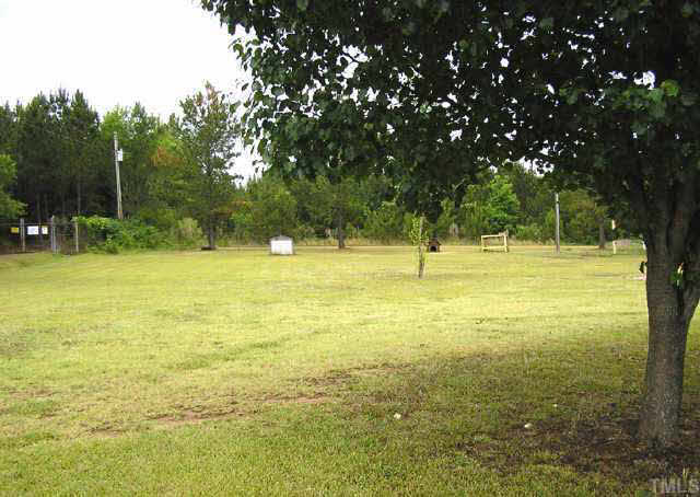 5569 Rains Crossroads Road Princeton, NC 27569 - Photo 8 of 8 Backyard View