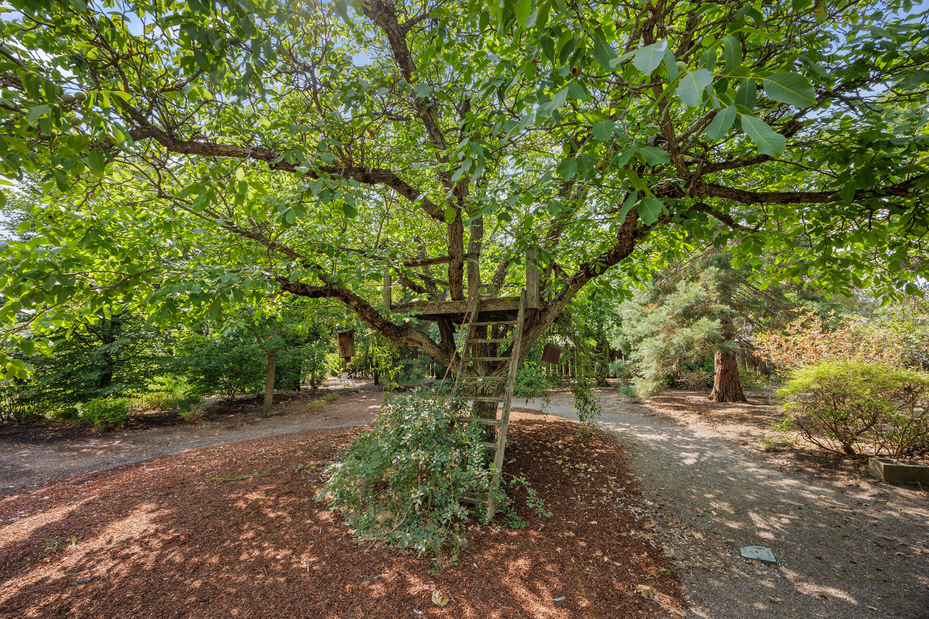 124 Walnut Place Phoenix, OR 97535 - Photo 46 of 56 APX_3401