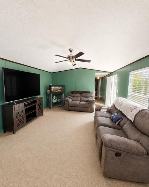 3124 Shaw Road Manning, SC 29102 - Photo 5 of 15