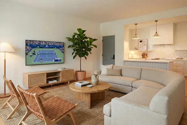 a living room with furniture and a potted plant