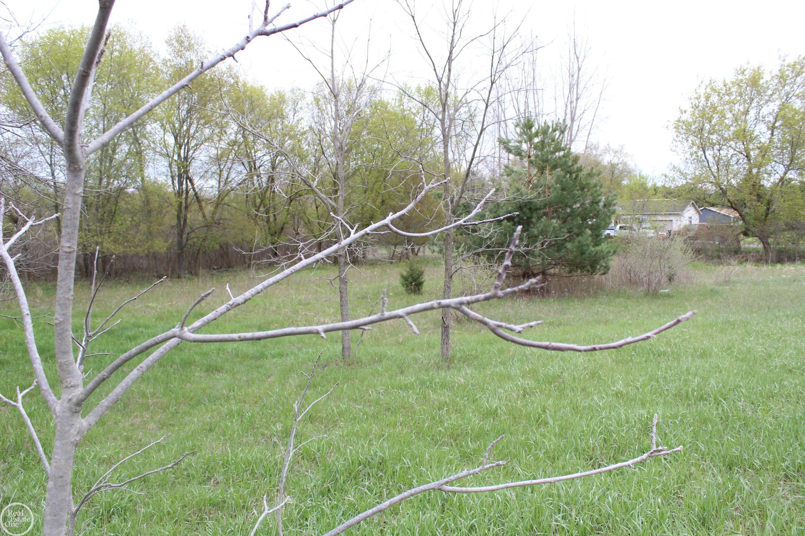 Byron Road Howell, MI 48855 - Photo 1 of 9