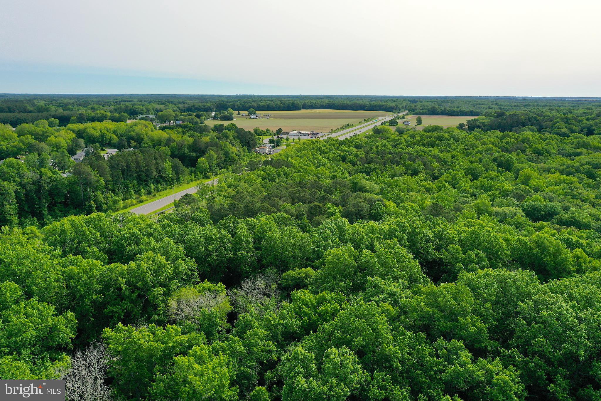 Worcester Highway Newark, MD 21841 - Photo 11 of 13 a view of a green field with lots of bushes