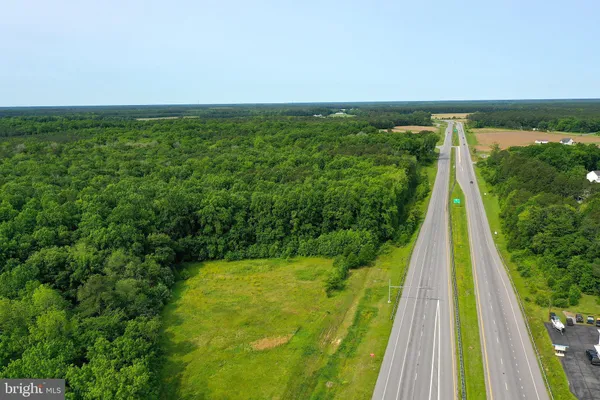 a view of a garden from a balcony