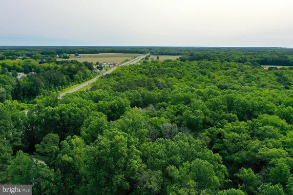 a view of a green field with lots of bushes