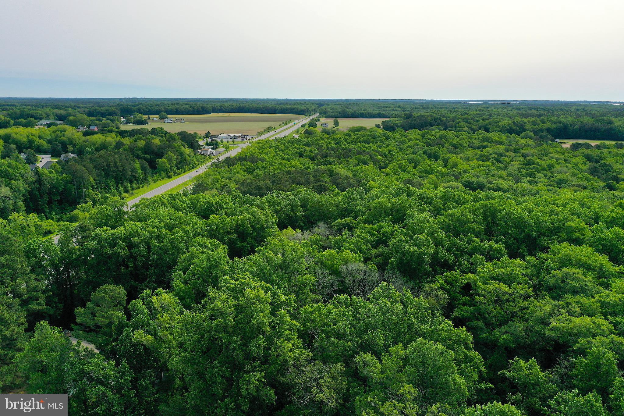 Worcester Highway Newark, MD 21841 - Photo 10 of 13 a view of a field with plants and large trees