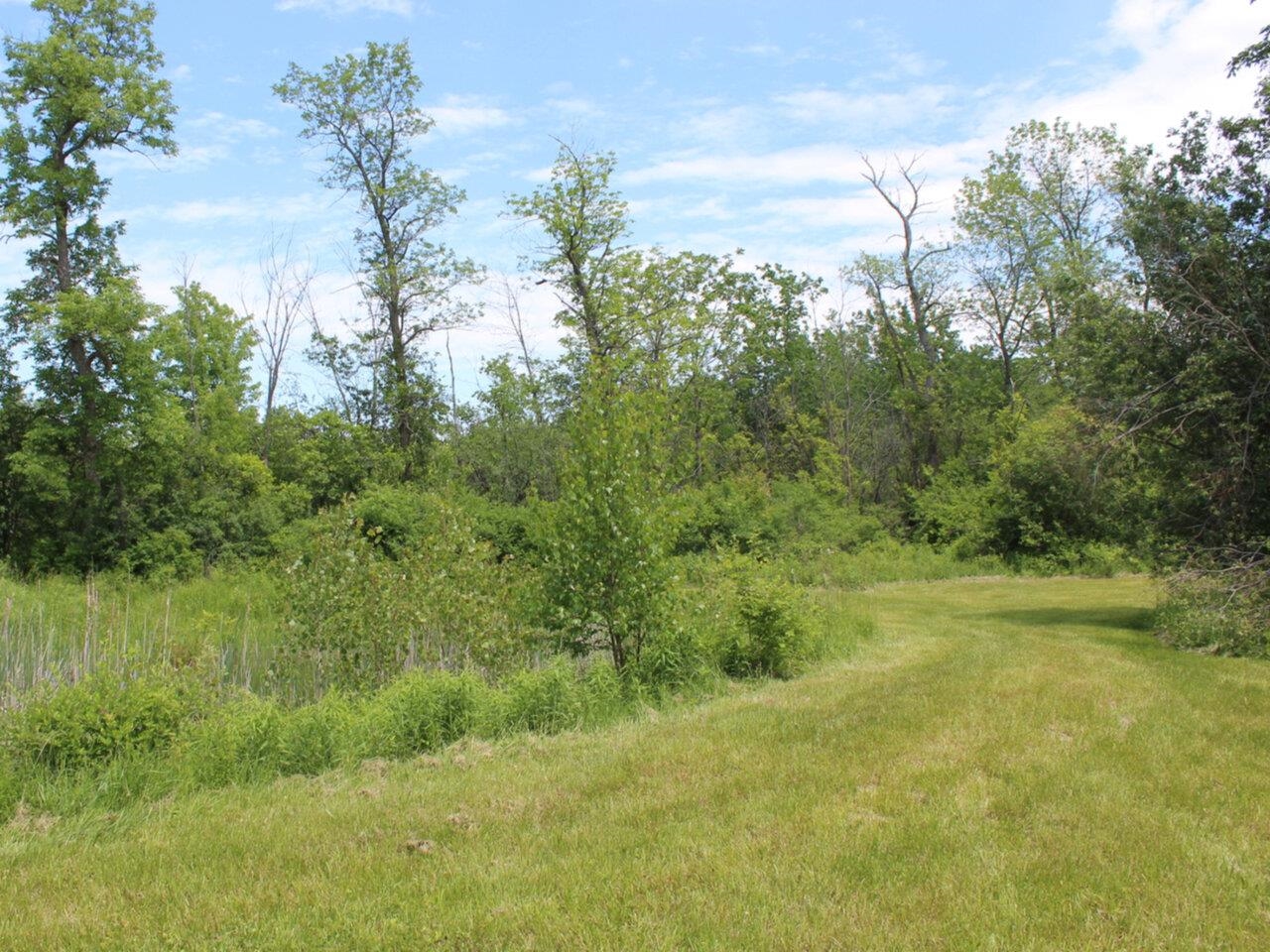 5798 Lower Newton Road, Unit 2 St. Albans Town, VT 05488 - Photo 3 of 8