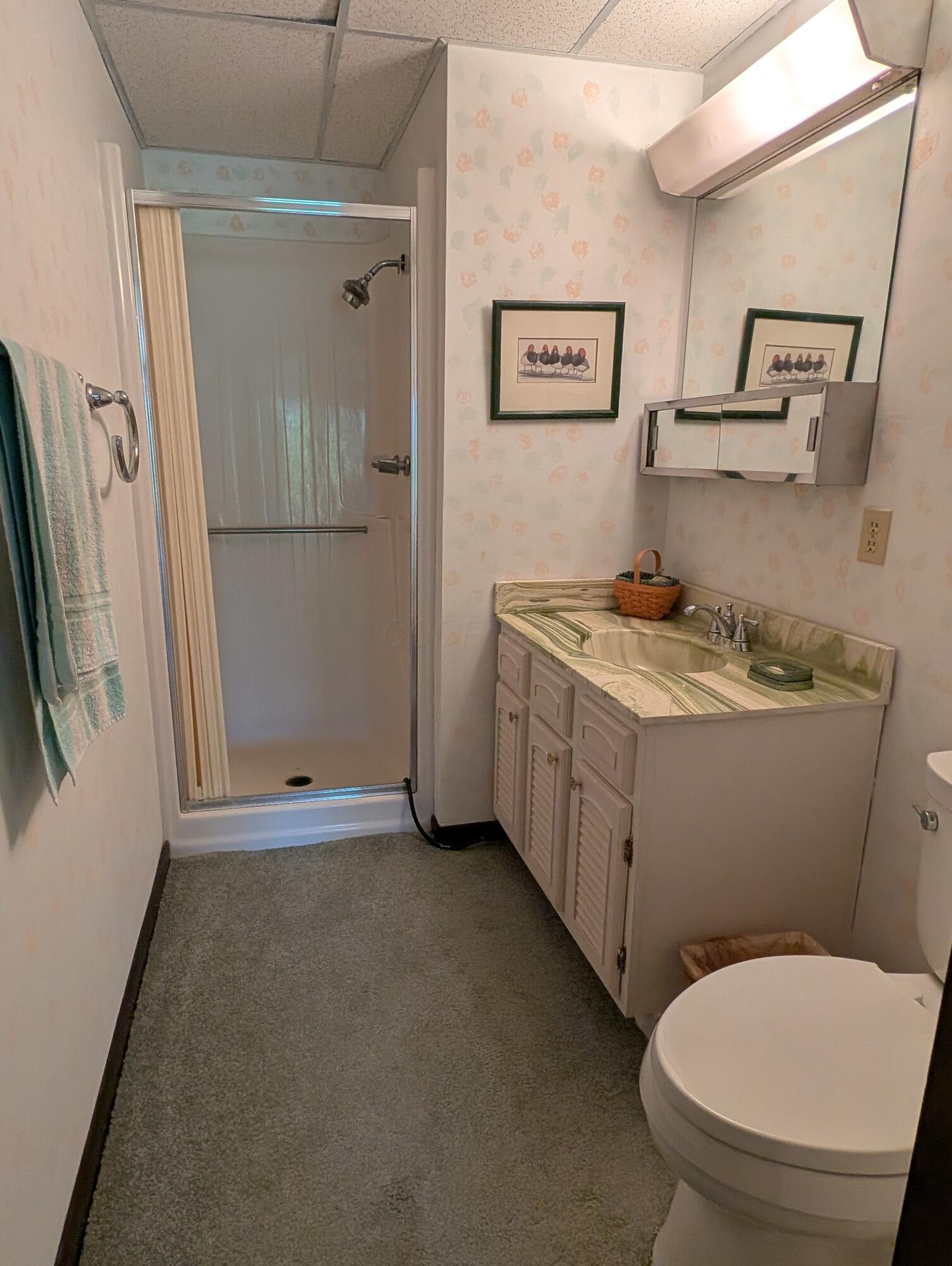 9933 Blue Road Mount Vernon, OH 43050 - Photo 28 of 33 29