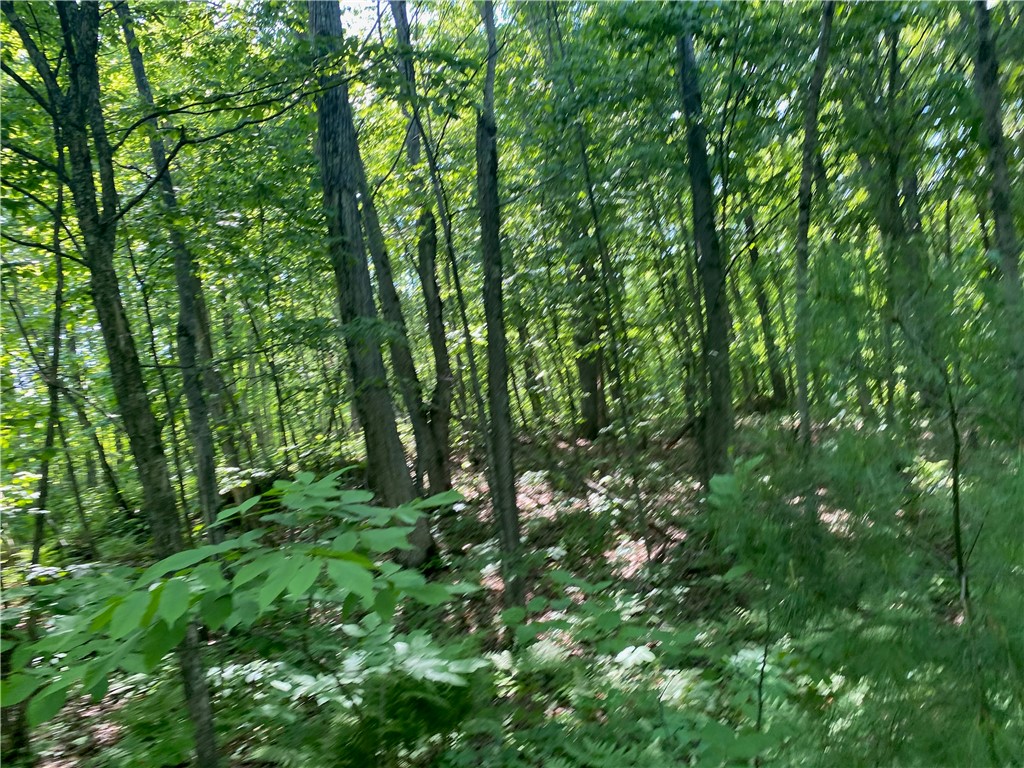 Lot 7 Secluded Trail Hayward, WI 54843 - Photo 39 of 41