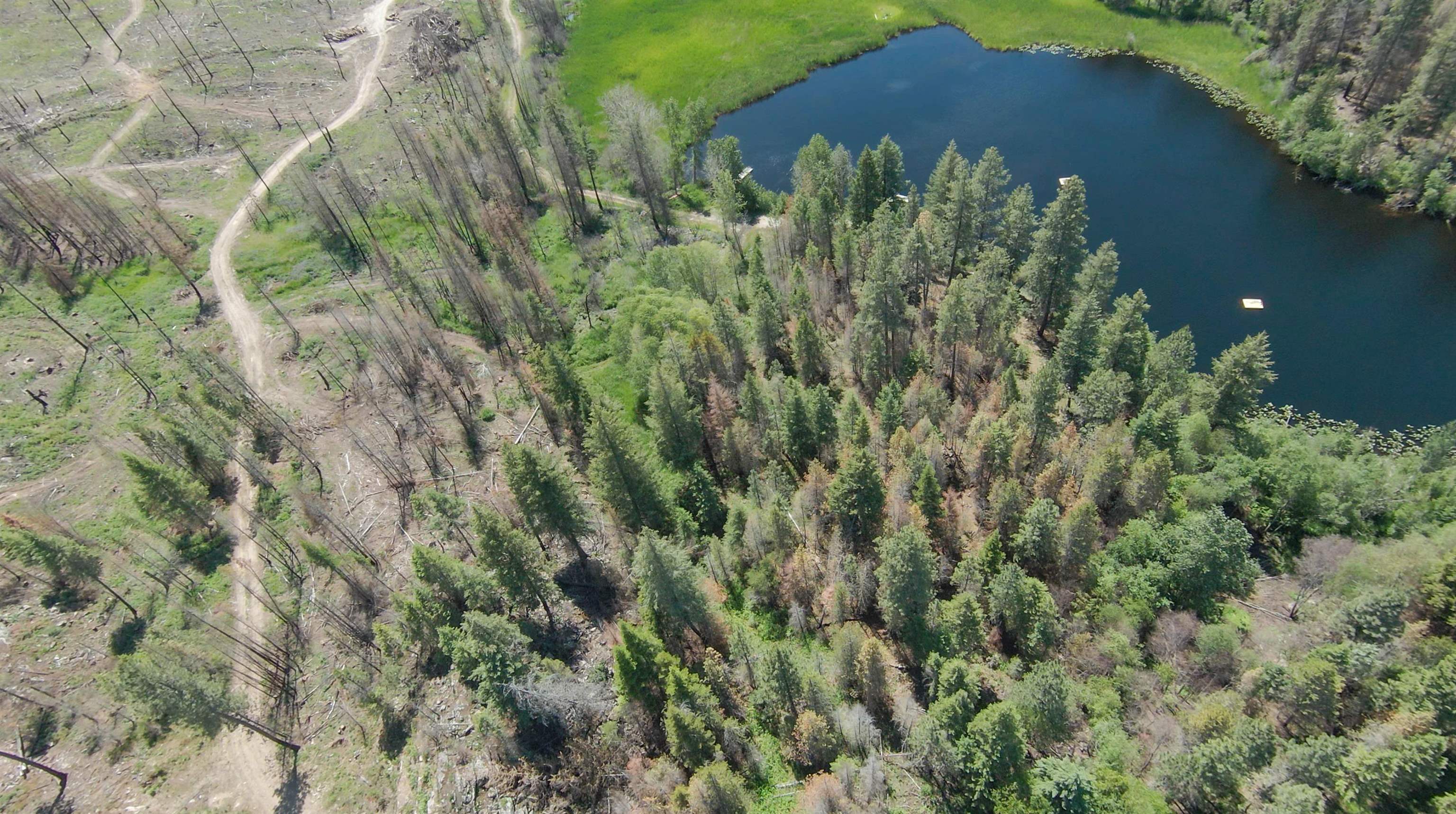 14117 East Frideger Road Elk, WA 99009 - Photo 18 of 21